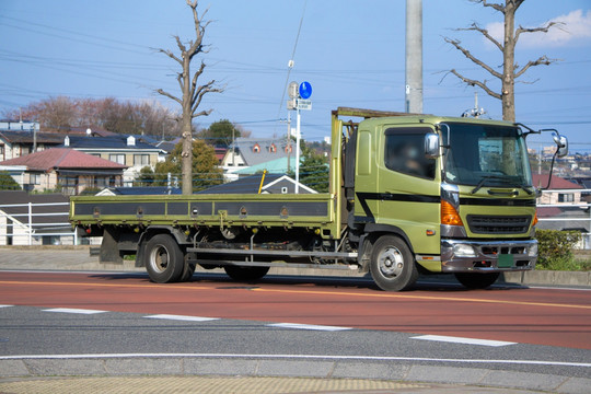 平板卡车 大卡车