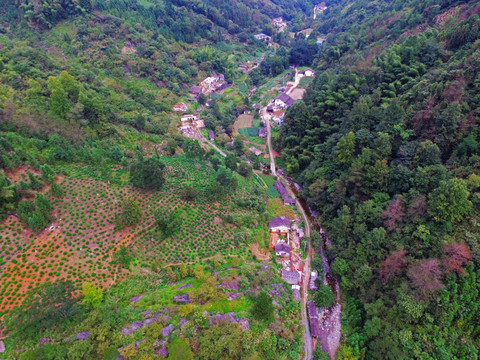 青联地质灾害点