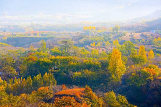 乡村美景 乡村风景画 山村