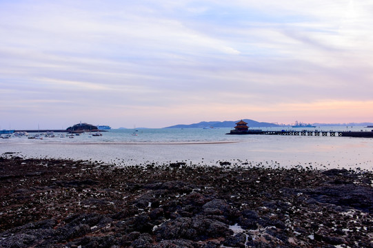 青岛 山东青岛 青岛城市