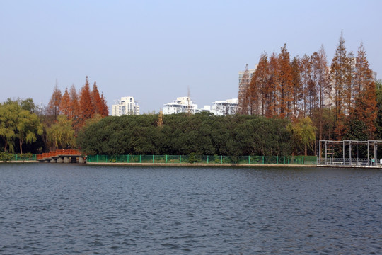 黄兴公园冬天景色