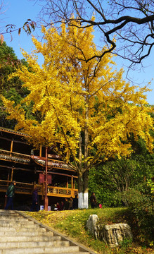 湖南烈士公园