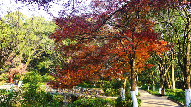 冬日多彩风景