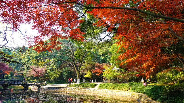 冬日多彩风景