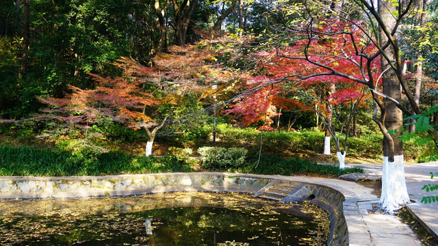 冬日多彩风景