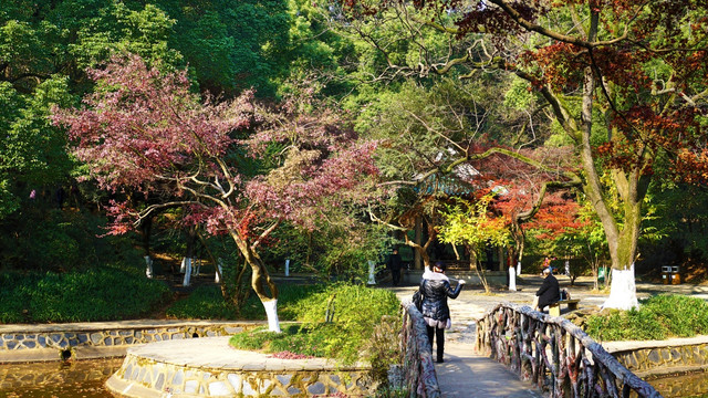 烈士公园景区