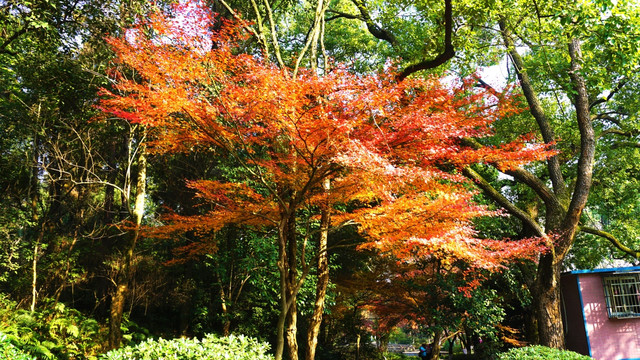 烈士公园景区