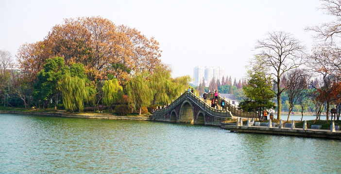 烈士公园风景