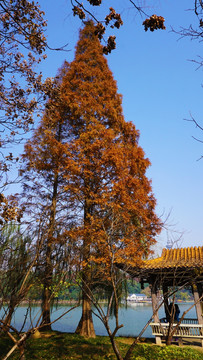 烈士公园风景
