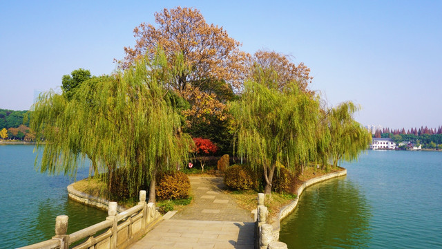 烈士公园风景