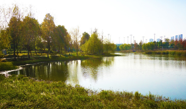 洋湖湿地公园景区