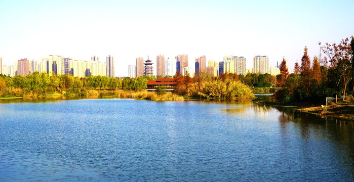 洋湖湿地公园
