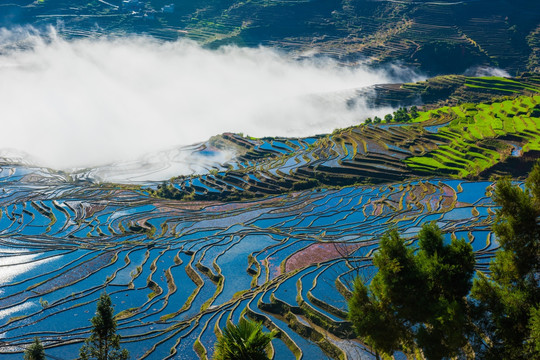 红河梯田