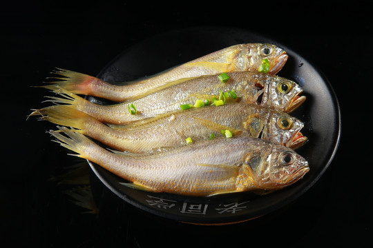 野生小黄鱼