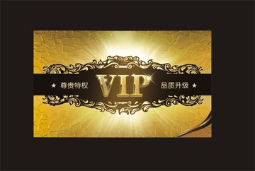 会员VIP