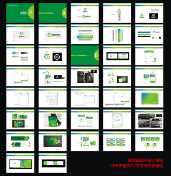 高端企业VIS设计模板