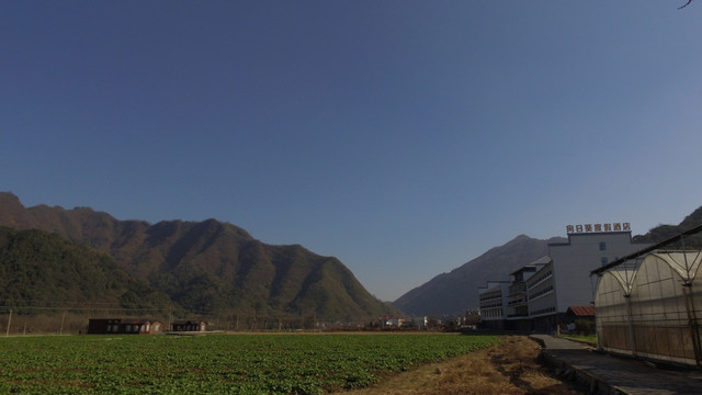 油菜田