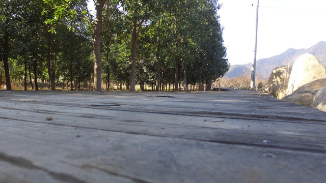 苗圃步道
