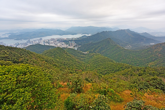 深圳 梧桐山 盐田区