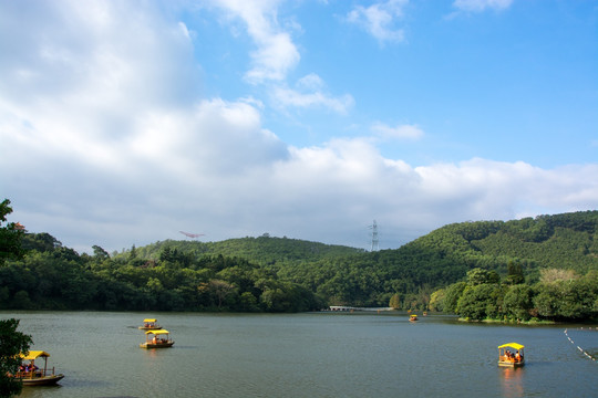 深圳仙湖植物园