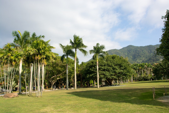 深圳仙湖植物园