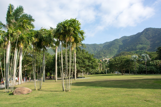 深圳仙湖植物园