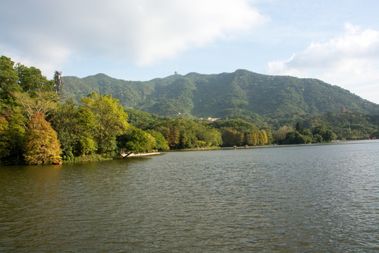深圳仙湖植物园