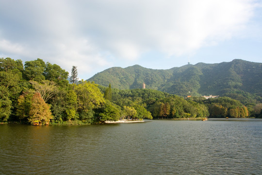 深圳仙湖植物园