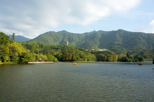 仙湖植物园