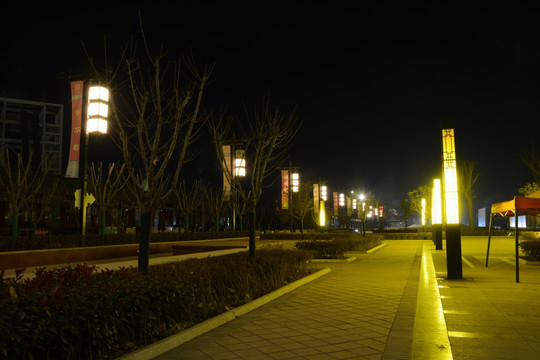 中华郡广场夜景