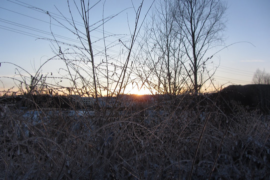 夕阳白雪