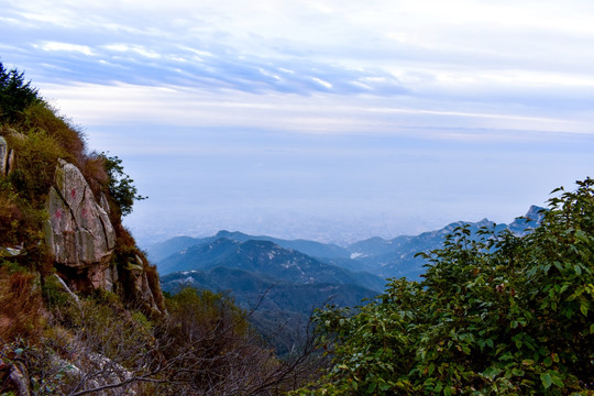 泰山