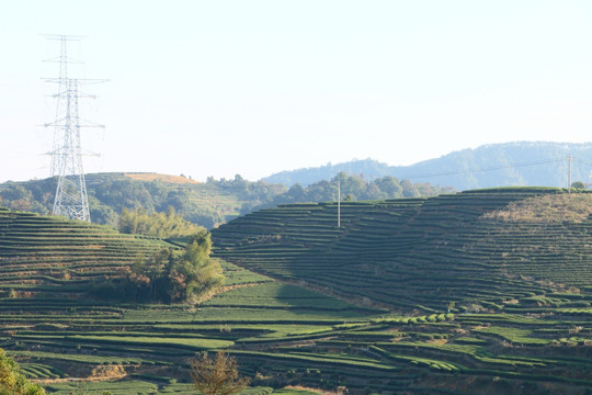 长龙风景