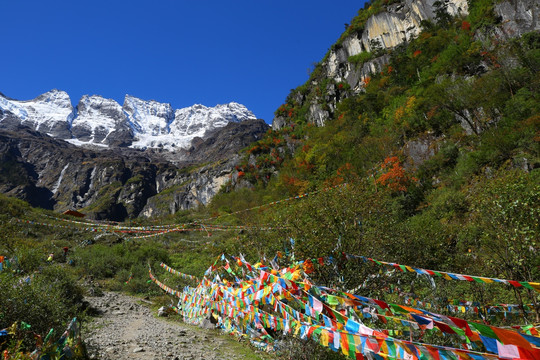 雨崩村的梅里雪山