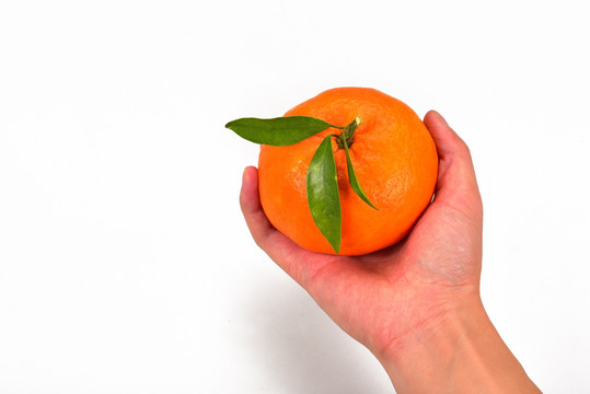 手拿橙子