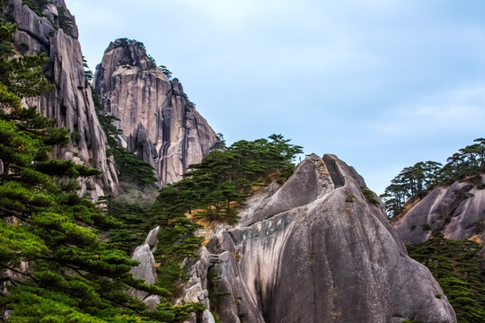 黄山松石图