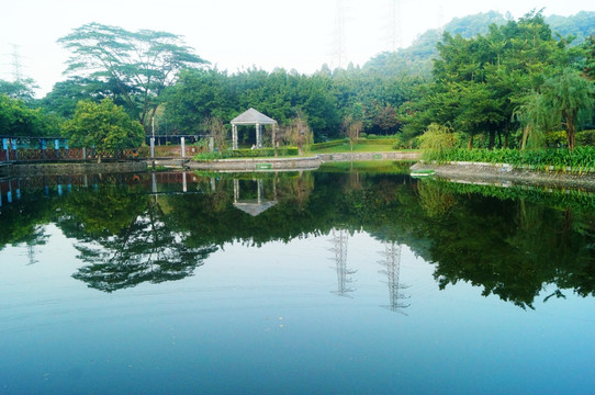 深圳宝安公园池塘美景