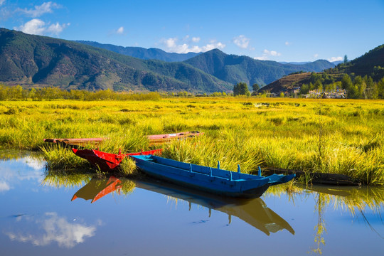 泸沽湖草海风光