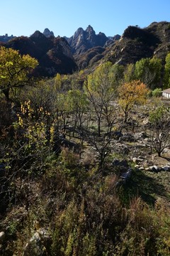 怀柔山区景色