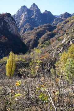 怀柔山区景色