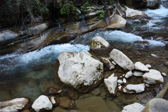 溪流 河道