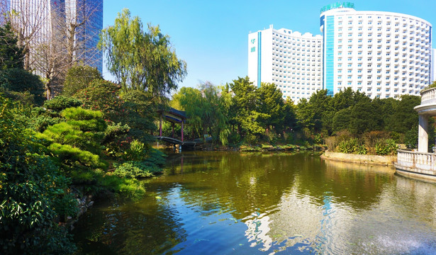 华雅国际大酒店风景