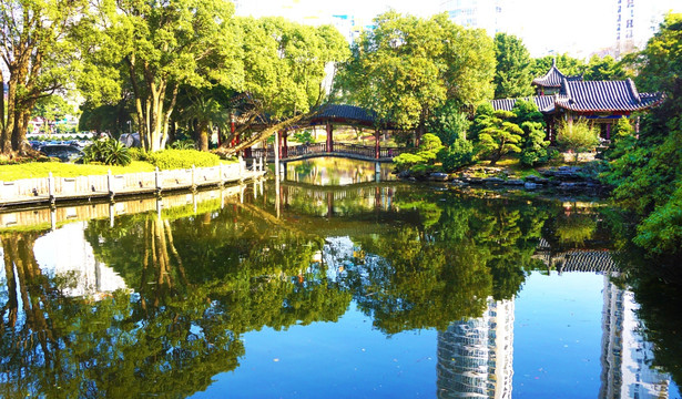 华雅国际大酒店风景