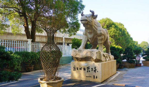 华雅国际大酒店风景