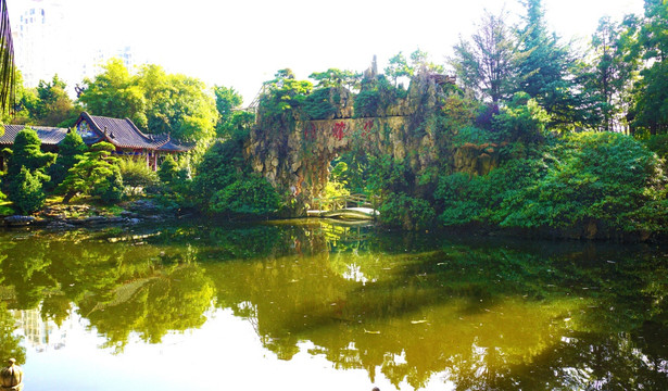 华雅国际大酒店风景