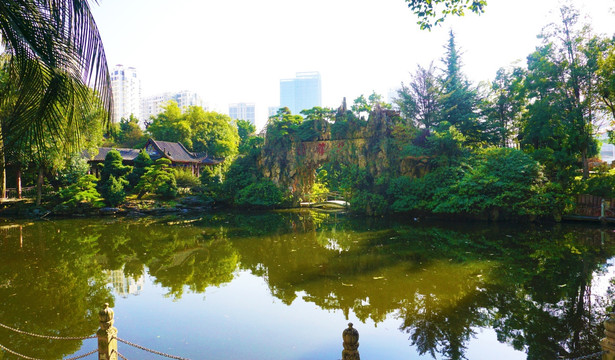 华雅国际大酒店风景