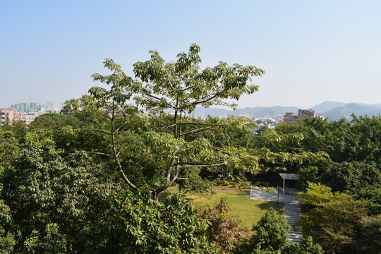 远离城市喧闹的最佳休息地