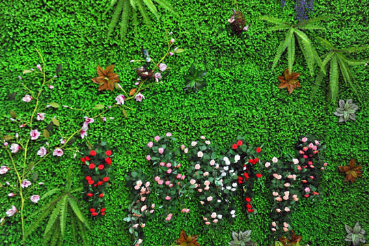 植物墙 绿叶背景墙