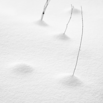 雪