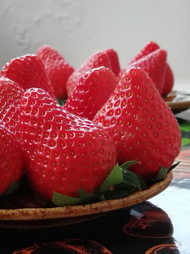 草莓 大个红草莓